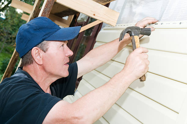 Best Siding Replacement  in Mulberry, FL